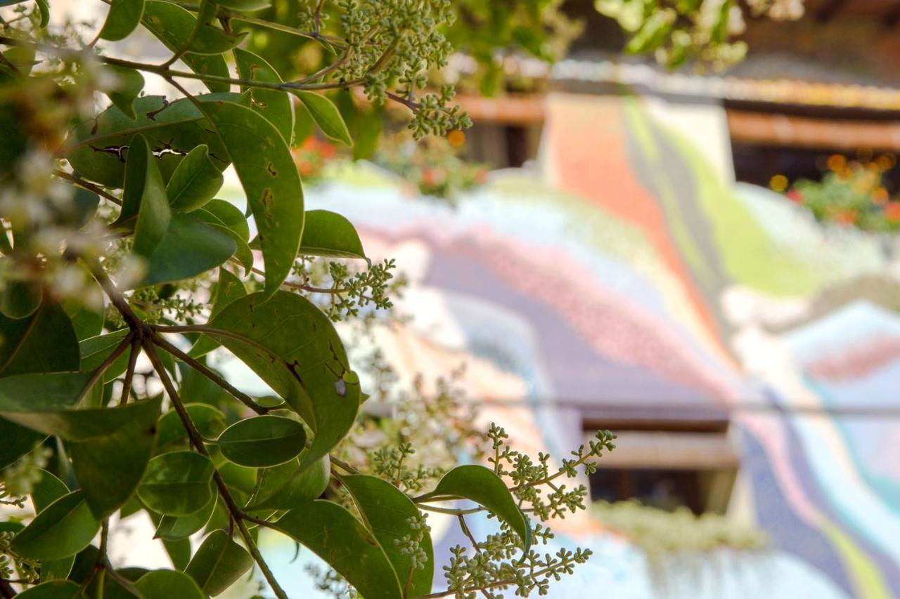 Casa El Pelaire Konuk evi Perarrua Dış mekan fotoğraf
